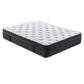 D35 13 Inch Mattress